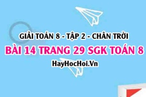 Bài 14 trang 29 Toán 8 Tập 2 Chân trời sáng tạo